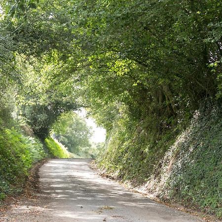 卡伦普顿Lower Ford Farm住宿加早餐旅馆 外观 照片