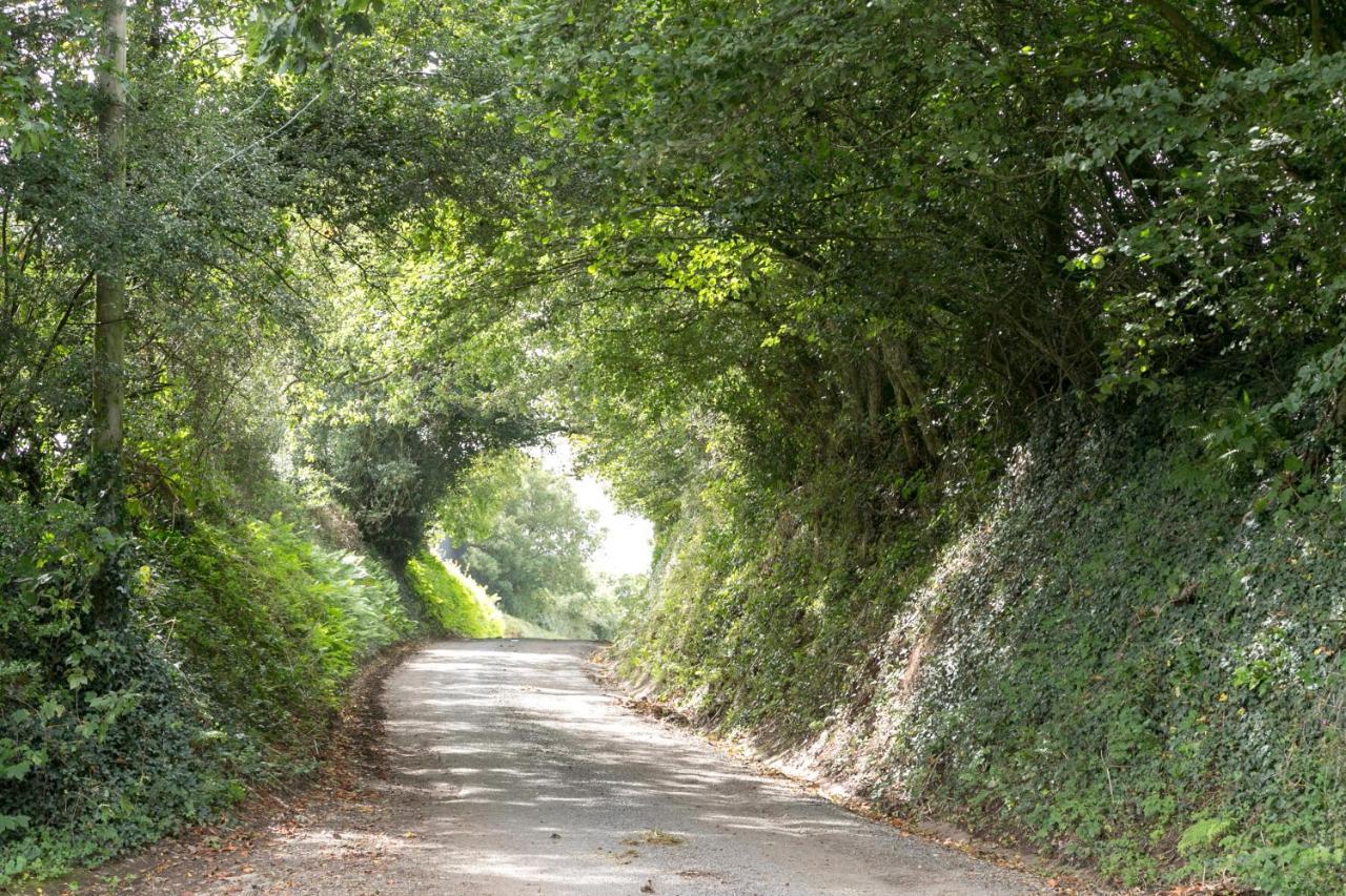 卡伦普顿Lower Ford Farm住宿加早餐旅馆 外观 照片